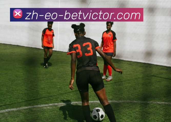 伟德官网平台生态图