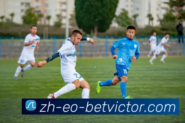 伟德官网APP 封面图